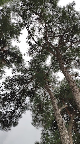 Retselis Restaurant - Νέα Μηχανιώνα