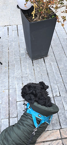 Opinii despre Κελάρι în Έδεσσα - Γαστρονομία και φιλοξενία