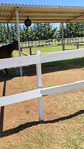 Ησιόδου, Θήβα 320 02