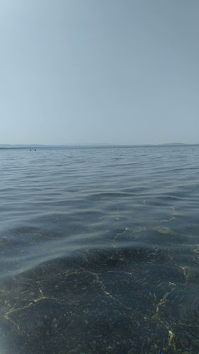 Comentarii opinii despre Thines