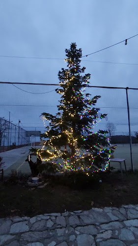 Opinii despre Το Στέκι Του Αρκούδου în Αρκοχώρι - Γαστρονομία και φιλοξενία