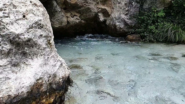 Restaurant Acheron Springs-Markou Ilias - Γλυκή