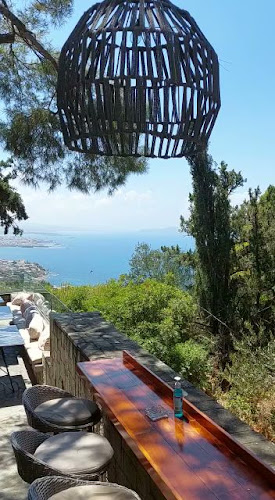 Comentarii opinii despre Carte Postale