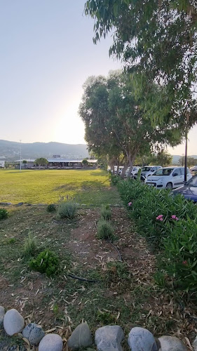 Εστιατόριο Όστρια - Κάλαθος