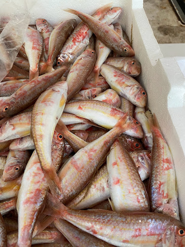 Ψαροταβέρνα Νέα Ζωή Πέππας - Γαστρονομία και φιλοξενία