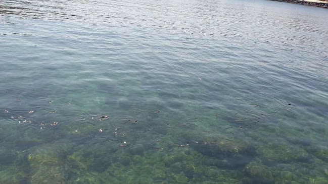 Barbarossa - Χανιά