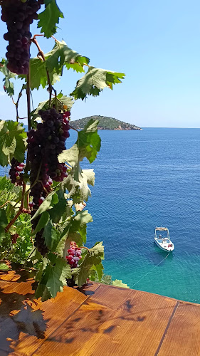 Opinii despre Salkimi în Σκιάθος - Γαστρονομία και φιλοξενία