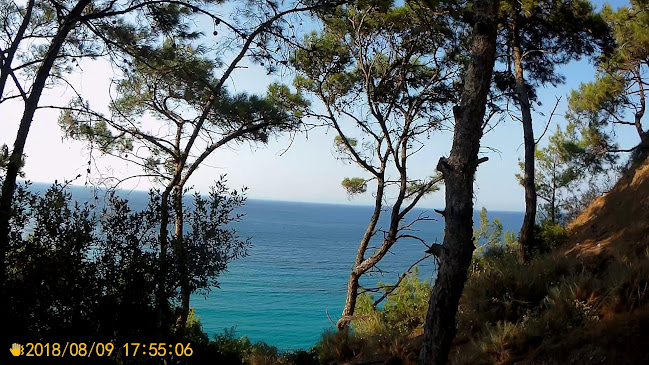 Opinii despre ΒΕΛΕΜΒΕΤΣΟΣ Α.Ε. în Μαραθόκαμπος - Γαστρονομία και φιλοξενία