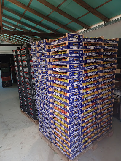 ΦΡΟΥΤΑ ΤΣΑΠΚΙΝΗΣ Λ.