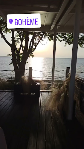 Comentarii opinii despre Bohème