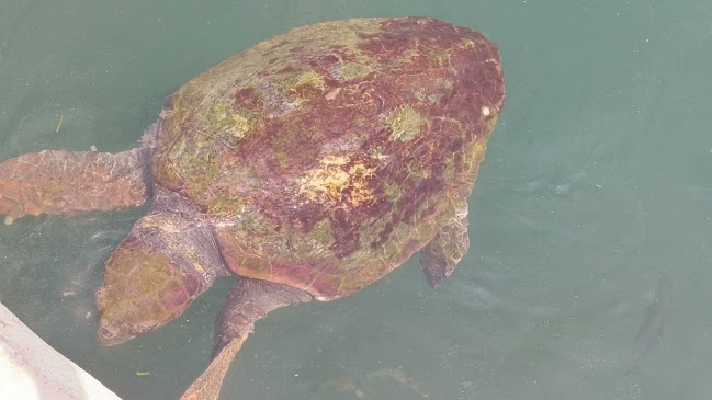 Ágora District - Γαστρονομία και φιλοξενία