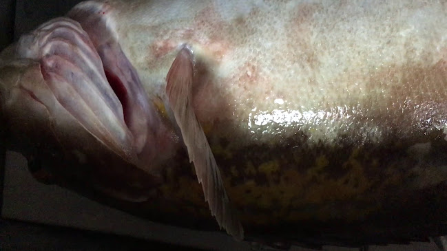 Εν Πλω - Γαστρονομία και φιλοξενία