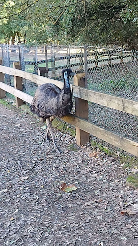 Αγρόκτημα Παπάκια - Γαστρονομία και φιλοξενία