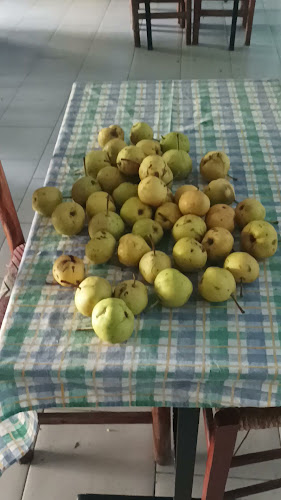 Opinii despre Ουζερί Πλάτανος în Δοτσικό - Γαστρονομία και φιλοξενία