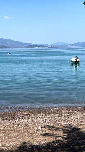 Comentarii opinii despre Abona Kamena Vourla