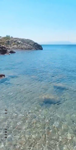 Βιανδύνη | Παραλία Καφέ - Μπαρ - Εστιατόριο - Ελαία