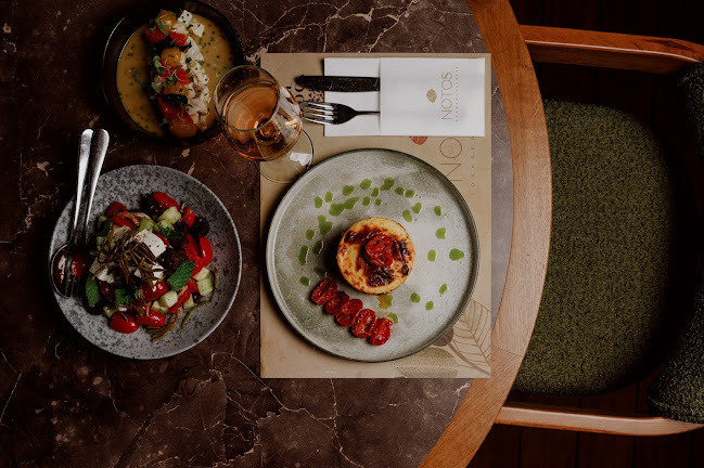 Comentarii opinii despre Notos Lounge