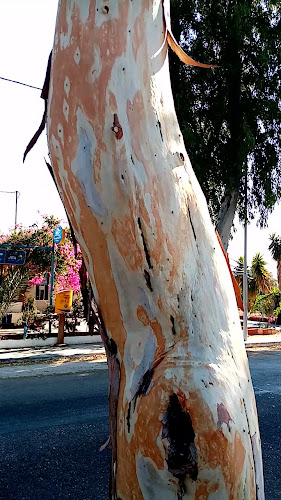 Παραλιακη οδος καμάρι, Καμάρι 847 00