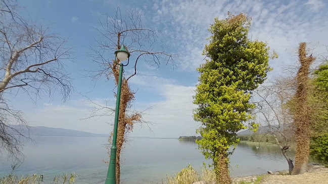 Επαρ.Οδ. Μυρτιάς - Λουτρών, Θέρμο 300 08