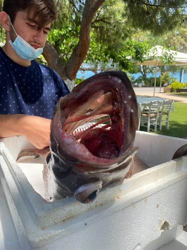 Comentarii opinii despre Ψαροταβέρνα Νέα Ζωή Πέππας