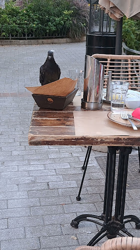 Opinii despre Κυβέλη în Αθήνα - Γαστρονομία και φιλοξενία