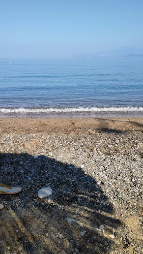 Comentarii opinii despre Kelsos