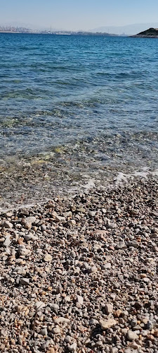 Notos Cafe - Γαστρονομία και φιλοξενία