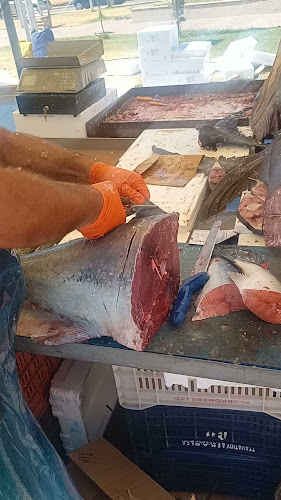 Κανελλόπουλου 19, Νέα Μουδανιά 632 00