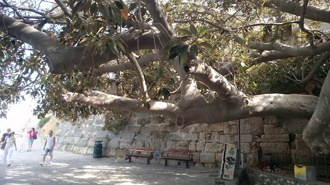 Platanos Restaurant - Γαστρονομία και φιλοξενία