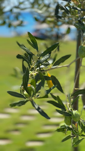 Νέα Σκιώνη 630 85