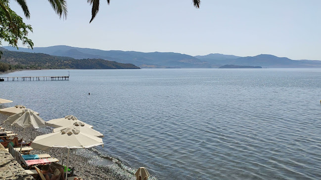 ΠΛΑΤΕΙΑ ΛΕΥΚΟΝΙΚΟΥ, Μήθυμνα 811 08