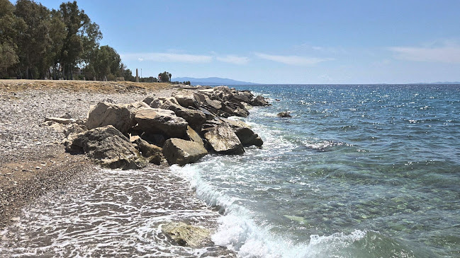 Καλαμαράκια Ο Πέτρος