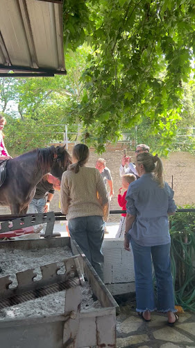 ΨΗΣΤΑΡΙΑ ΣΠΥΡΟΣ ΠΑΝΤΑΖΗΣ