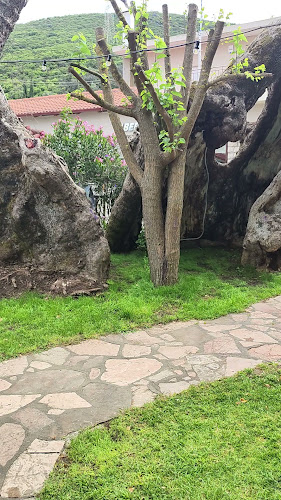 Opinii despre ΜΠΙΚΑΣ în Θέρμο - Γαστρονομία και φιλοξενία