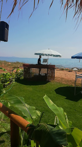 Comentarii opinii despre Beach Bar Nto