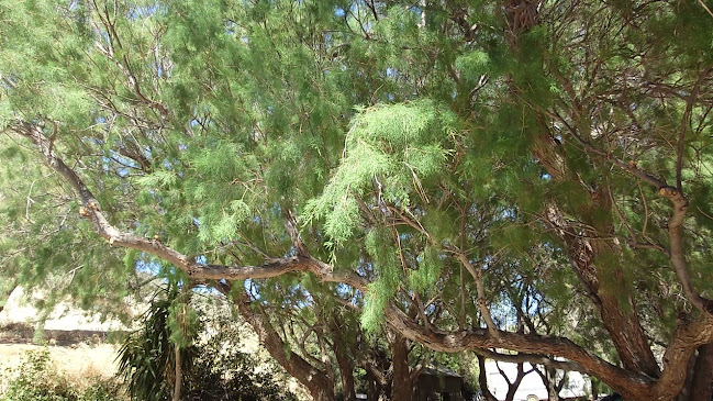 Taverna Apothiki - Γαστρονομία και φιλοξενία