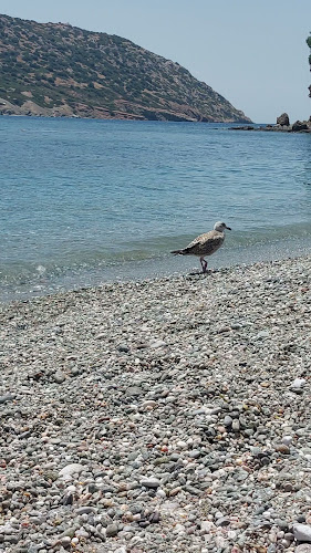 Nisos Café Bar - Ανάβυσσος