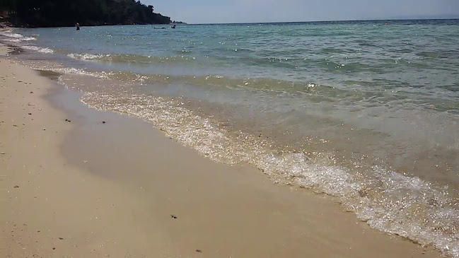 Opinii despre Pachis Beach Bar în Θάσος - Γαστρονομία και φιλοξενία