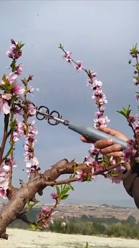 ΟΡΦΑΝΟΥ, ΑΦΟΙ, ΔΙΑΔΟΧΟΙ Π. ΝΙΝΙΡΑΚΗ ΙΚΕ"ΑΓΡΟΓΕΩΠΟΝΙΚΗ ΚΡΗΤΗΣ"