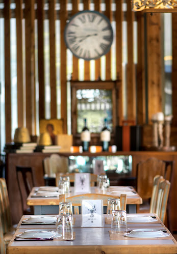 ΙΩΛΚΟΣ - Γεύσεις Θάλασσας