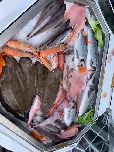 ΣΤΕΦΑΝΟΣ Ψαροταβέρνα-Ουζερί - Νέοι Επιβάτες