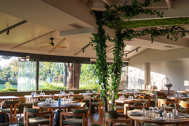 Opinii despre Notos Lounge în Βούλα - Γαστρονομία και φιλοξενία