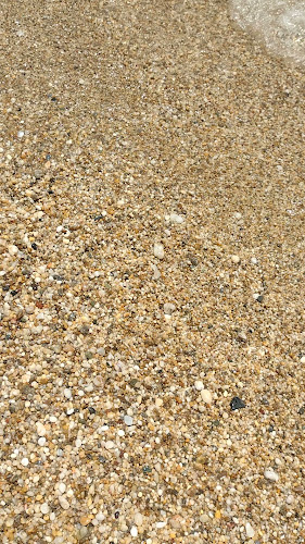 Opinii despre APHRODITE TAVERNA-STUDIOS în Πλωμάρι - Γαστρονομία και φιλοξενία