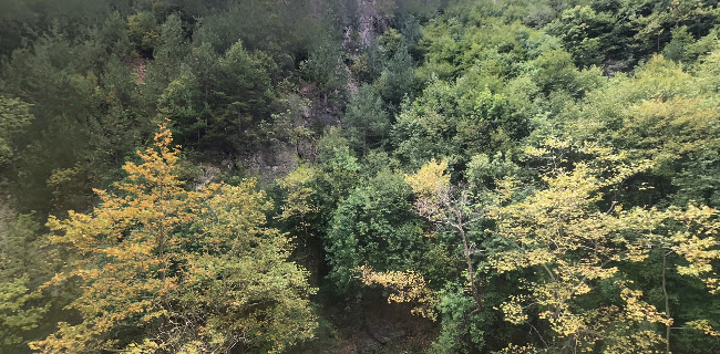 Αναψυκτήριο Πόζαρ - Γαστρονομία και φιλοξενία