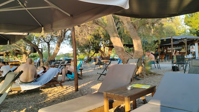 Opinii despre Cactus The Sunny Bar în Αρκίτσα - Γαστρονομία και φιλοξενία