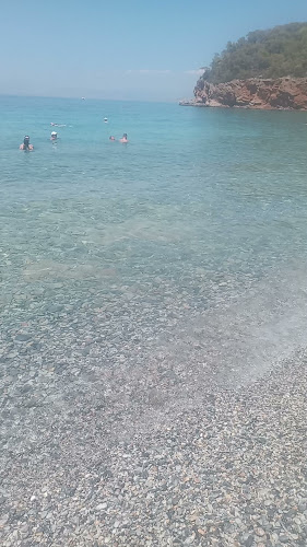 Opinii despre Dragonera beach bar în Αγκίστρι - Γαστρονομία και φιλοξενία