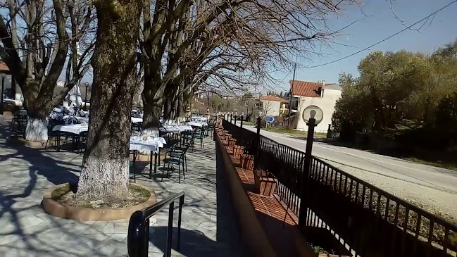 Opinii despre Φλαμουριές în Βέροια - Γαστρονομία και φιλοξενία