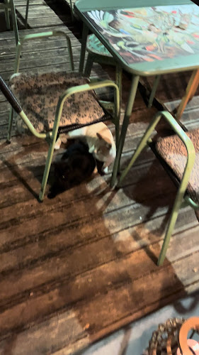 Comentarii opinii despre Ακαμάτρα - Akamatra