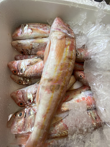 Opinii despre Ψαροταβέρνα Νέα Ζωή Πέππας în Κάλαμος - Γαστρονομία και φιλοξενία