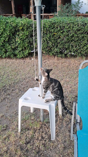 Comentarii opinii despre Taverna Apothiki